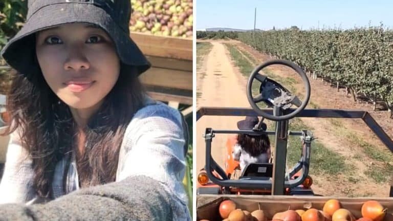 Pinay fruit picker in Australia earns up to P226K a month